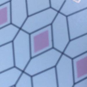 Meet your Posher, Yaletzy